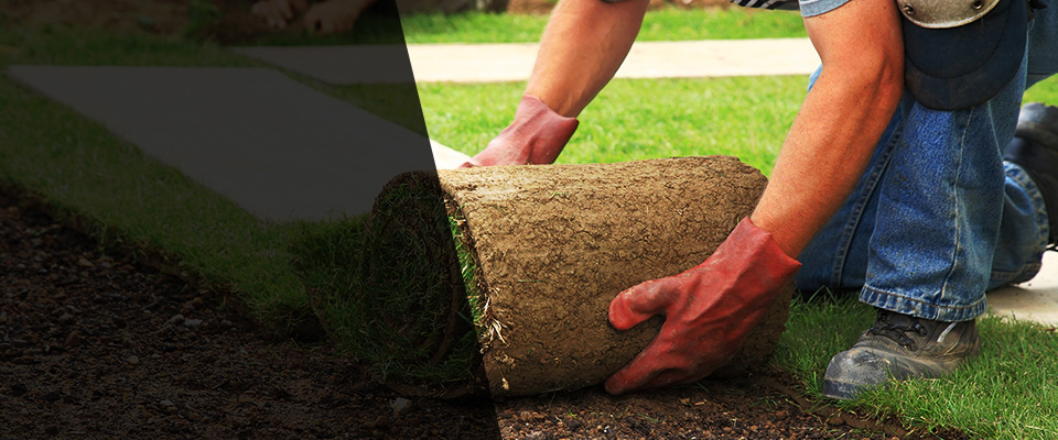 Redwood Falls Landscapers